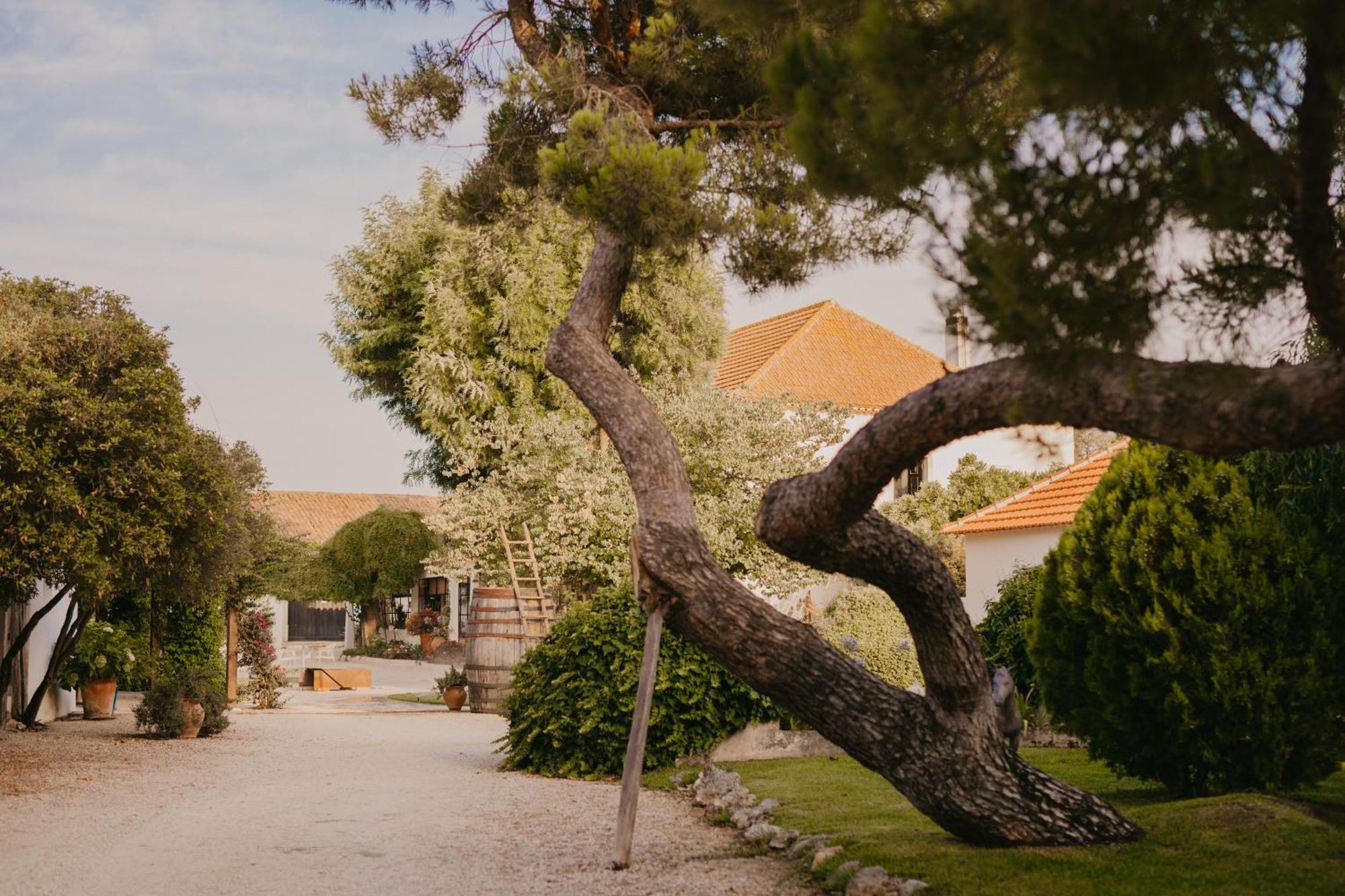 Quinta Carvalhas - The Green Farm Hotel Casevel Luaran gambar