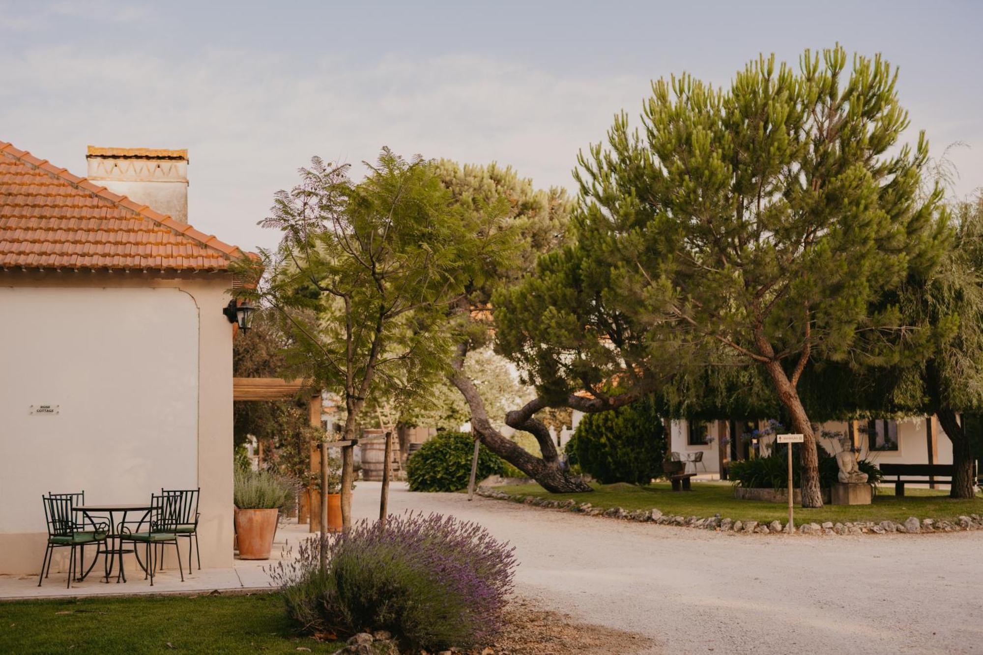 Quinta Carvalhas - The Green Farm Hotel Casevel Luaran gambar